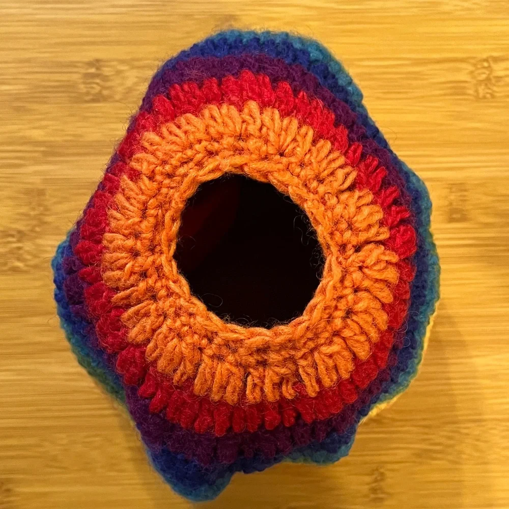 Wool Rainbow Ponytail Beanie